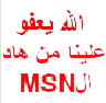 msn